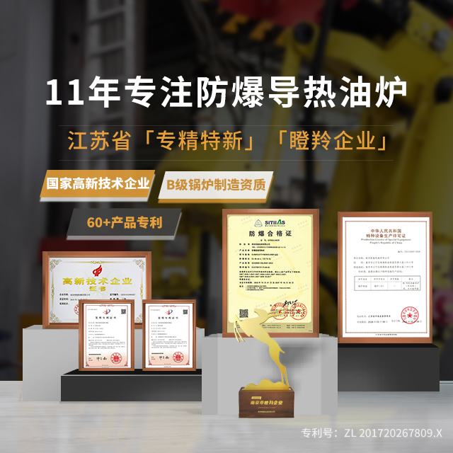 11年专注防爆导热油炉