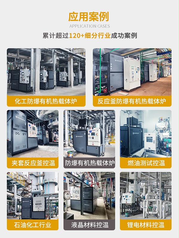 防爆电加热有机热载体锅炉案例